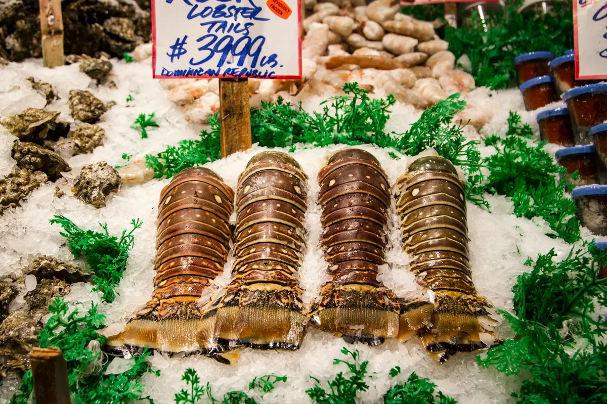 Rock lobster handpicked from Kilwa Kisiwani waters Tanzania premium grade