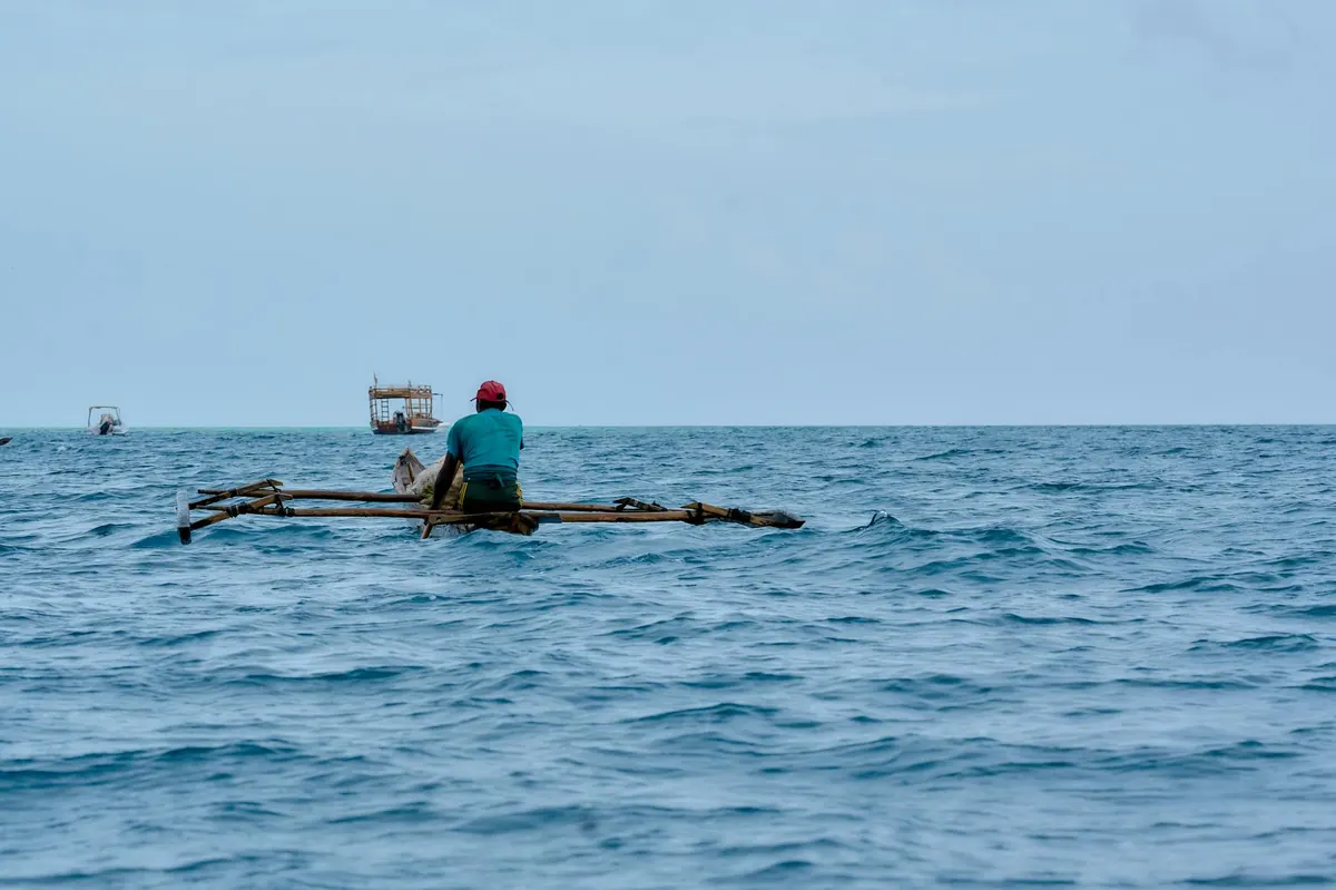 Tanzania fisherman landing octopus on traditional dhow boat at Mafia Island
