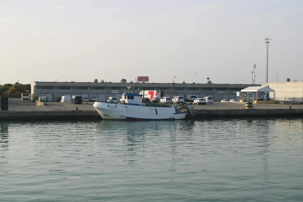 Mafia Island fish landing station processing facility quayside