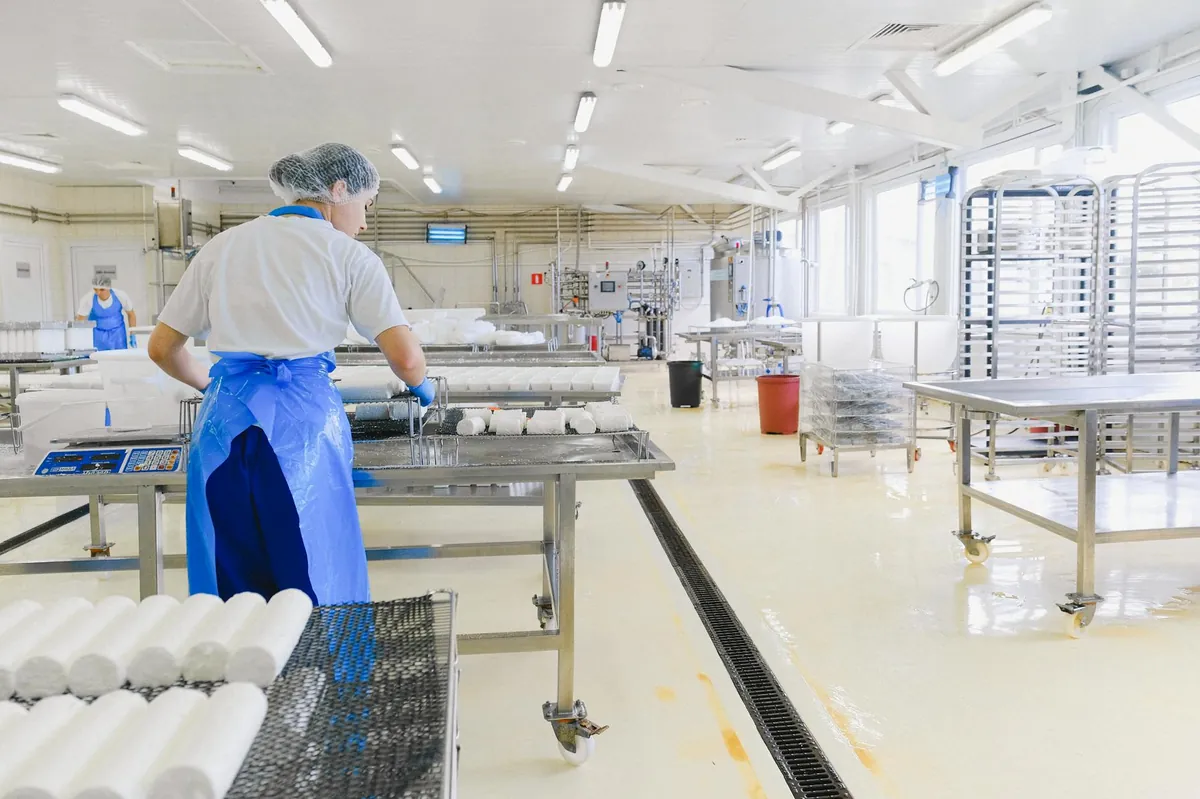 Industrial blast freezer at Pemba seafood processing facility
