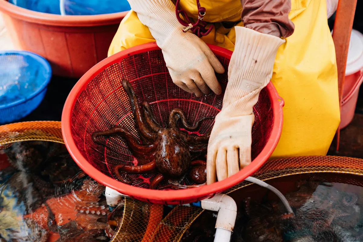 Mafia Island octopus fisherman at coastal village