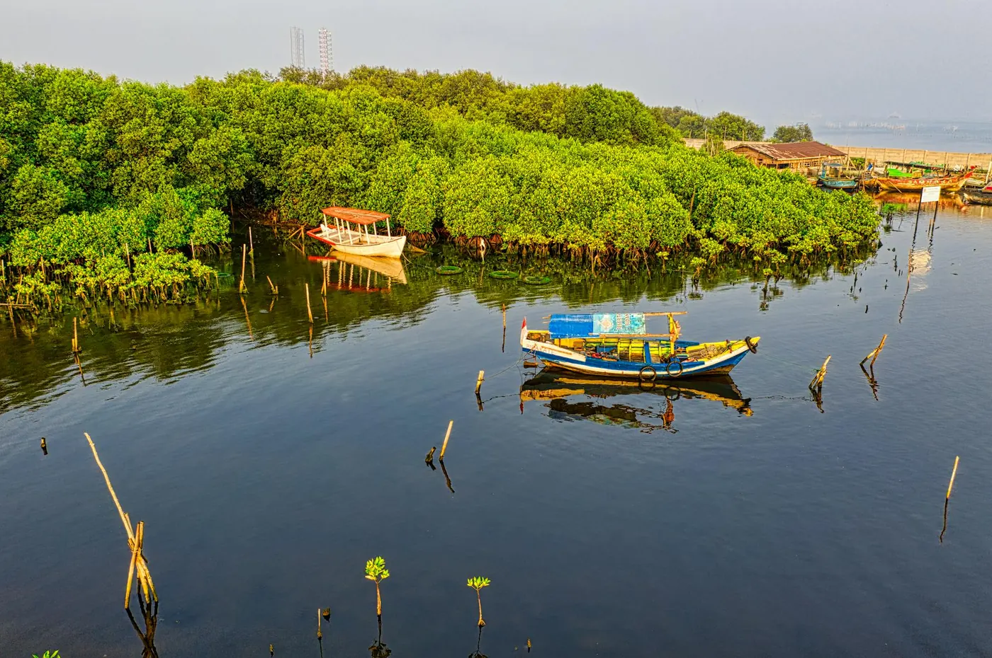 Rufiji Delta mangrove river system Tanzania prawn harvesting